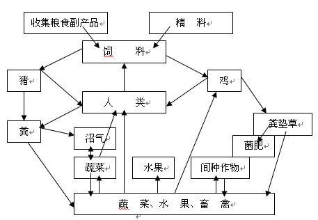 生物链示意图